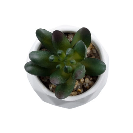 ΠΑΧΥΦΥΤΟ CRASSULA 20979 Διακοσμητικό Φυτό Παχύφυτο Κράσουλα Υ9cm - Μικρα Φυτά και Παχύφυτα Sticky 1