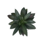 ΠΑΧΥΦΥΤΟ ALOE ΣΕ ΓΛΑΣΤΡΑΚΙ 20983 Διακοσμητικό Φυτό Αλόης Φ9 x Υ12cm