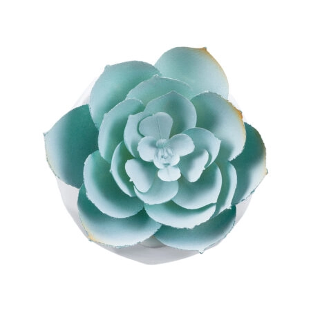 ΠΑΧΥΦΥΤΟ ECHEVERIA 20996 Διακοσμητικό Φυτό Παχύφυτο Εχεβέρια Υ7cm - Μικρα Φυτά και Παχύφυτα Sticky 1