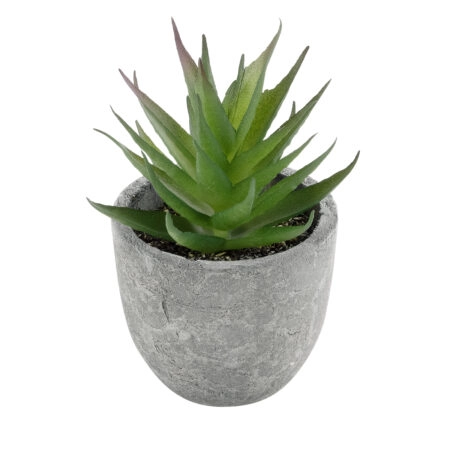 ΠΑΧΥΦΥΤΟ ALOE 21010 Διακοσμητικό Φυτό Παχύφυτο Αλόη Υ11cm