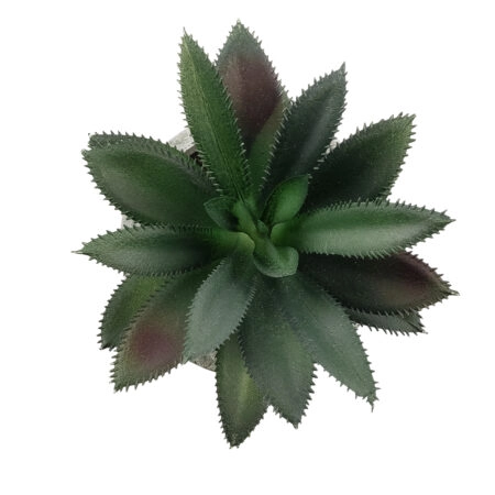 ΠΑΧΥΦΥΤΟ ALOE 21011 Διακοσμητικό Φυτό Παχύφυτο Αλόη Υ13cm - Μικρα Φυτά και Παχύφυτα Sticky 1