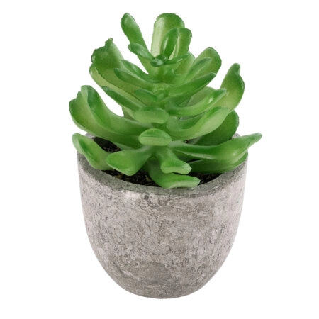 ΠΑΧΥΦΥΤΟ CRASSULA 21014 Διακοσμητικό Φυτό Παχύφυτο Κράσουλα Υ11.5cm