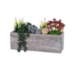 SUCCULENT VARIUS PLANT POTTED 21033 Διακοσμητικό Φυτό Μίξ Μ29 x Π10 x Υ18cm