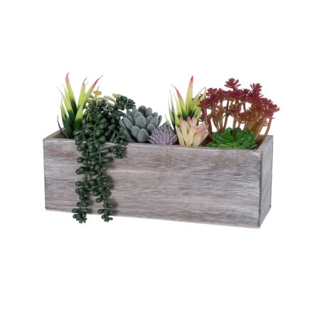 SUCCULENT VARIUS PLANT POTTED 21033 Διακοσμητικό Φυτό Μίξ Μ29 x Π10 x Υ18cm - Τεχνητοι Κακτοι