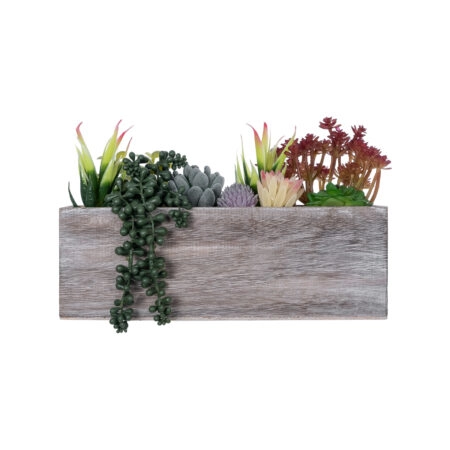 SUCCULENT VARIUS PLANT POTTED 21033 Διακοσμητικό Φυτό Μίξ Μ29 x Π10 x Υ18cm - Τεχνητοι Κακτοι Sticky 1