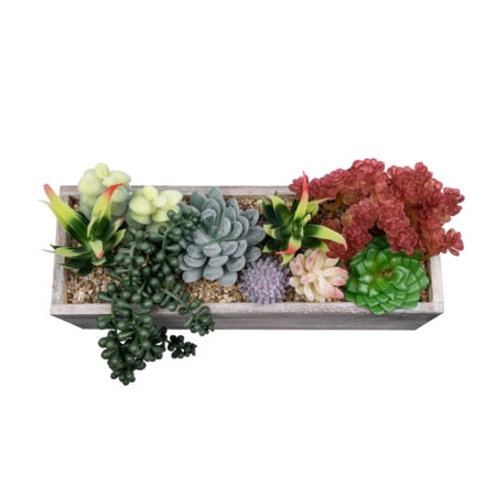 SUCCULENT VARIUS PLANT POTTED 21033 Διακοσμητικό Φυτό Μίξ Μ29 x Π10 x Υ18cm - Τεχνητοι Κακτοι Sticky 2