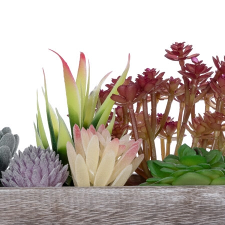 SUCCULENT VARIUS PLANT POTTED 21033 Διακοσμητικό Φυτό Μίξ Μ29 x Π10 x Υ18cm - Τεχνητοι Κακτοι Sticky 3