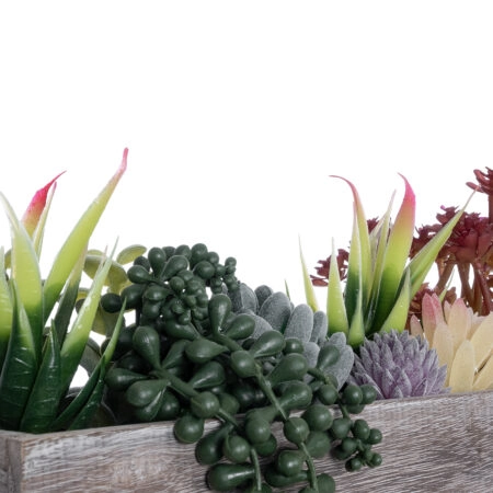 SUCCULENT VARIUS PLANT POTTED 21033 Διακοσμητικό Φυτό Μίξ Μ29 x Π10 x Υ18cm - Τεχνητοι Κακτοι Sticky 4