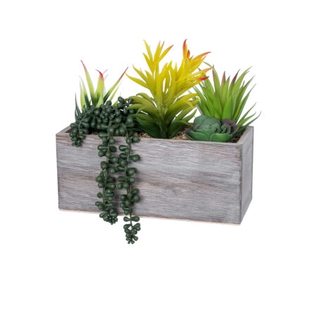 SUCCULENT VARIUS PLANT POTTED 21034 Διακοσμητικό Φυτό Μίξ Μ23 x Π13 x Υ23cm - Τεχνητοι Κακτοι