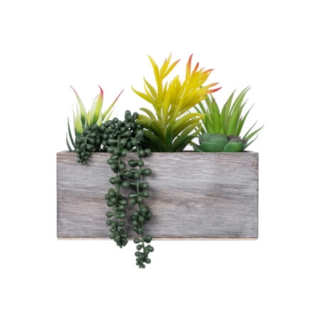 SUCCULENT VARIUS PLANT POTTED 21034 Διακοσμητικό Φυτό Μίξ Μ23 x Π13 x Υ23cm - Τεχνητοι Κακτοι Sticky 1