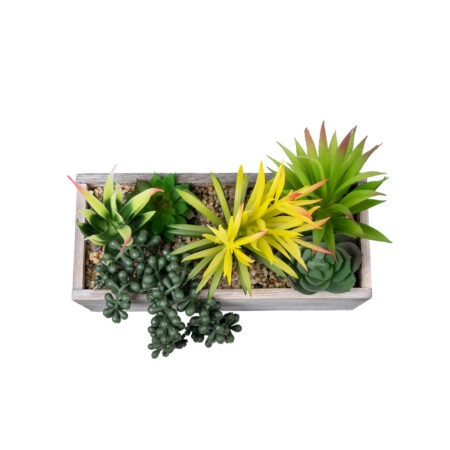 SUCCULENT VARIUS PLANT POTTED 21034 Διακοσμητικό Φυτό Μίξ Μ23 x Π13 x Υ23cm - Τεχνητοι Κακτοι Sticky 2