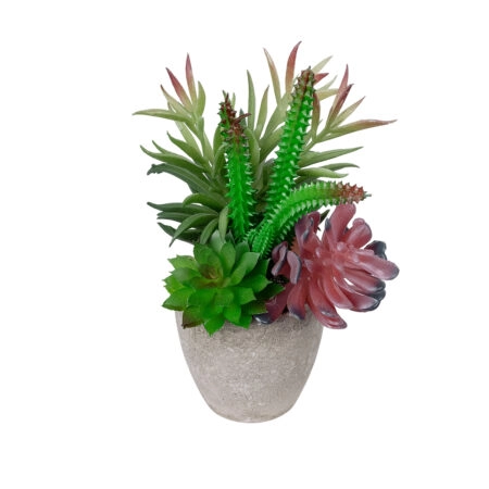 ΠΑΧΥΦΥΤΟ VARIUS PLANT POTTED 21039 Διακοσμητικό Φυτό Μίξ Μ17 x Υ20cm - Μικρα Φυτά και Παχύφυτα