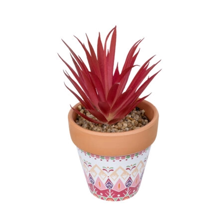 AIR PLANT NEOPHYTUM ΣΕ ΓΛΑΣΤΡΑΚΙ 21042 Διακοσμητικό Φυτό Νεόφυτο Φ12 x Υ15cm - Μικρα Φυτά και Παχύφυτα