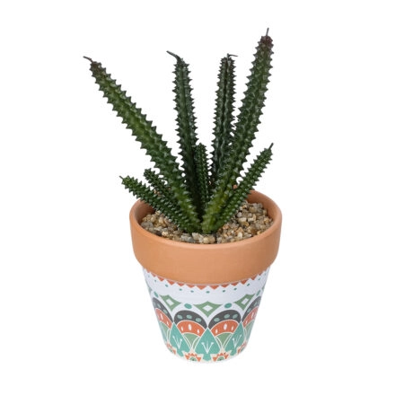 ΠΑΧΥΦΥΤΟ EUPHORBIA ΣΕ ΓΛΑΣΤΡΑΚΙ 21045 Διακοσμητικό Φυτό Ευφορβία Φ11 x Υ19cm