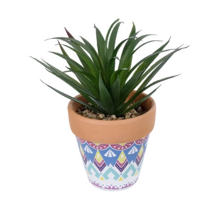 ΠΑΧΥΦΥΤΟ SANSEVIERIA ΣΕ ΓΛΑΣΤΡΑΚΙ 21047 Διακοσμητικό Φυτό Σανσεβιέρια  Φ16x Υ20cm