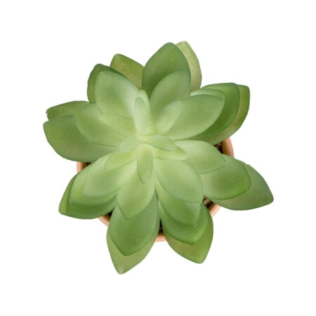 ΠΑΧΥΦΥΤΟ ECHEVERIA ΣΕ ΓΛΑΣΤΡΑΚΙ 21048 Διακοσμητικό Φυτό Εχεβέρια Φ13 x Υ18cm - Μικρα Φυτά και Παχύφυτα Sticky 1