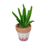 ΠΑΧΥΦΥΤΟ EUPHORBIA ΣΕ ΓΛΑΣΤΡΑΚΙ 21052 Διακοσμητικό Φυτό Ευφορβία Φ18 x Υ23cm