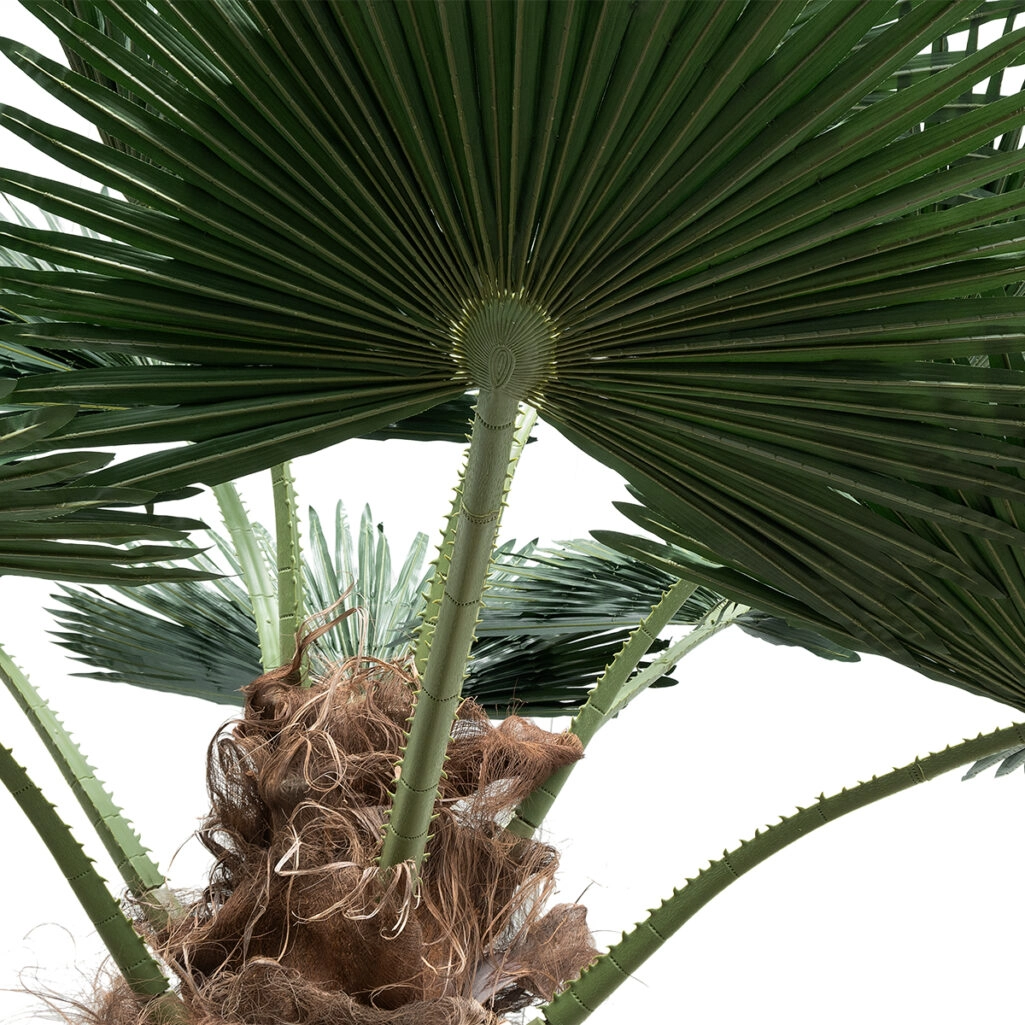 PLANT PALM TREE 21055 Διακοσμητικό Δέντρο Φοίνικα  Φ240 x Υ400cm