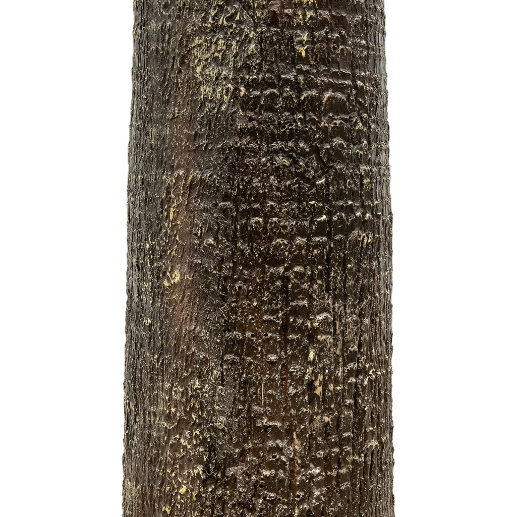 PLANT PALM TREE 21055 Διακοσμητικό Δέντρο Φοίνικα  Φ240 x Υ400cm