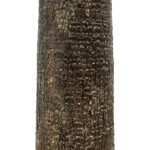 PLANT PALM TREE 21055 Διακοσμητικό Δέντρο Φοίνικα  Φ240 x Υ400cm