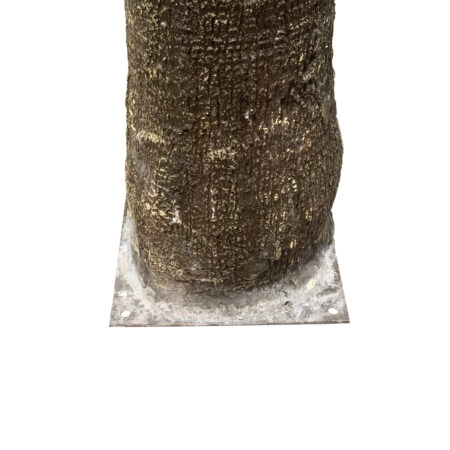 PLANT PALM TREE 21057 Διακοσμητικό Δέντρο Φοίνικα  Φ240 x Υ600cm - Τεχνητοι Φοινικες Sticky 4