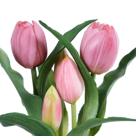 PINK TULIP 21092 Διακοσμητικό Φυτό Ροζ Τουλίπα Υ23cm - Μικρα Φυτά και Παχύφυτα Sticky 1