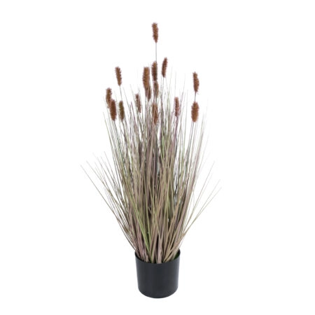 BROWN LAGURUS 21099 Διακοσμητικό Φυτό Καφέ Λαγοουρά Υ70cm