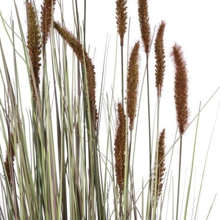 BROWN LAGURUS 21103 Διακοσμητικό Φυτό Καφέ Λαγοουρά Υ180cm - Τεχνητά Γρασίδια και Χόρτα Sticky 1