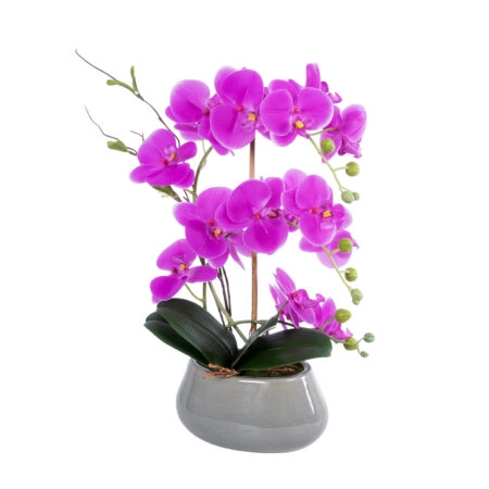 HOT PINK ORCHID 21119 Διακοσμητικό Φυτό  Έντονο Ροζ Ορχιδέα Υ43cm