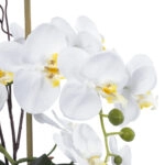 WHITE ORCHID 21120 Διακοσμητικό Φυτό Λευκή Ορχιδέα Υ43cm