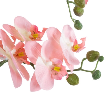 SALMON PINK ORCHID 21129 Διακοσμητικό Φυτό Φούξια Ορχιδέα Υ43cm - Τεχνητες Ορχιδεες Sticky 1