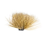 GRASS BUSH PLANT 21165 Τεχνητό Διακοσμητικό Φυτό Θάμνος Grass Π50cm Y30cm