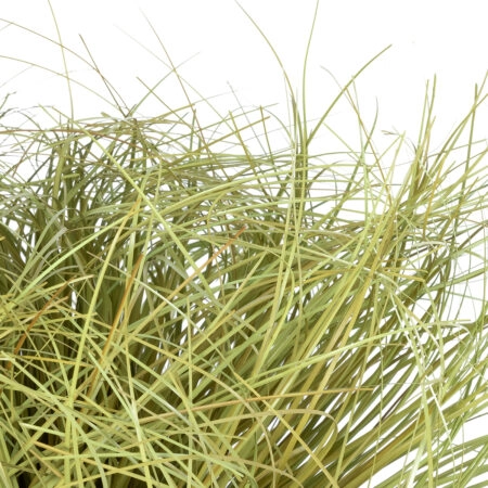 GRASS BUSH PLANT 21166 Τεχνητό Διακοσμητικό Φυτό Θάμνος Grass Π50cm Y30cm - Τεχνητά Γρασίδια και Χόρτα Sticky 1