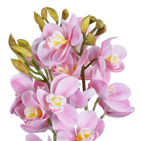 PALE PINK CHERRY CYMBIDIUM 21403 Διακοσμητικό Φυτό Ροζ Κυμβίδιο Υ60cm - Τεχνητες Ορχιδεες Sticky 1