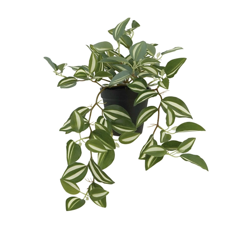 ΦΥΤΟ ΤΗΛΕΓΡΑΦΟΣ ΖΕΜΠΡΙΝΑ ΔΙΧΡΩΜΟ REAL TOUCH - Υ42cm