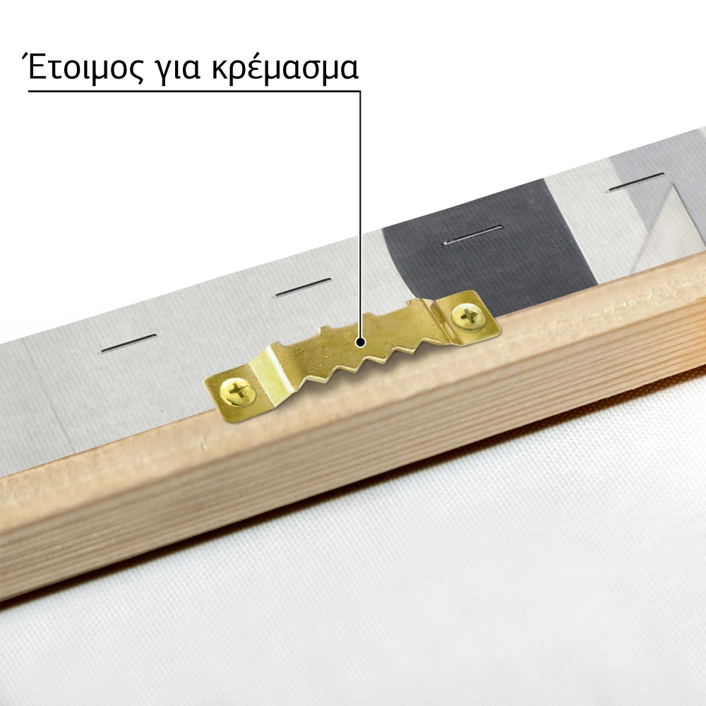 Πίνακας σε καμβά LASZLO MOHOLY-NAGY - AXX
