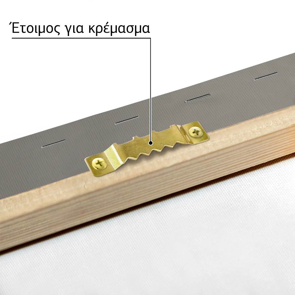 Πινακας σε καμβά LASZLO MOHOLY-NAGY - DAS TANZERPAAR OLLY DOLLY SISTERS
