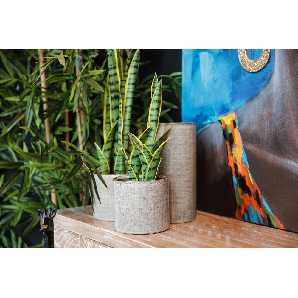SANSEVIERIA ΦΥΤΟ ΤΕΧΝΗΤΟ ΣΕ ΓΛΑΣΤΡΑ 15x12x32 ΥΦΑΣΜΑ ΠΡΑΣΙΝΟ ΚΙΤΡΙΝΟ ΠΛΑΣΤΙΚΟ