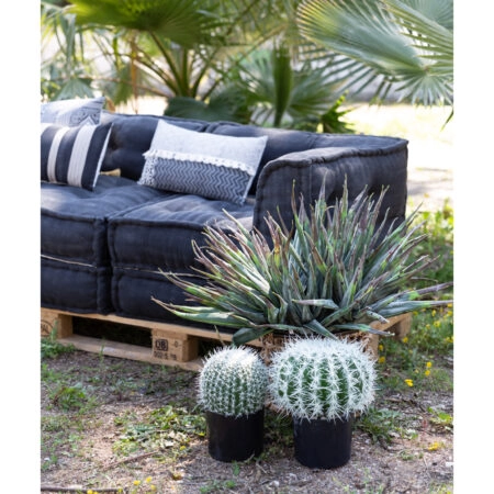 FEROCACTUS ΦΥΤΟ ΤΕΧΝΗΤΟ ΣΕ ΓΛΑΣΤΡΑ 18x18x30 ΥΦΑΣΜΑ ΠΡΑΣΙΝΟ ΛΕΥΚΟ ΠΛΑΣΤΙΚΟ -  Sticky 1