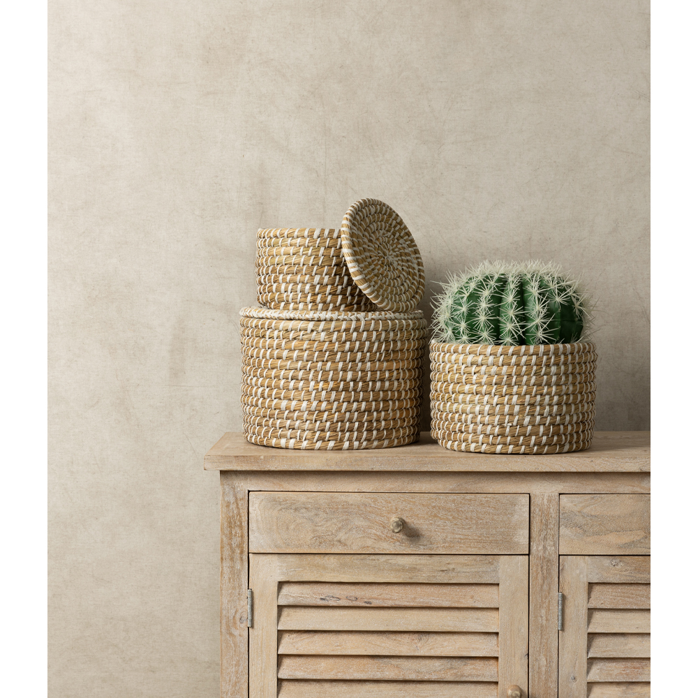FEROCACTUS ΦΥΤΟ ΤΕΧΝΗΤΟ ΣΕ ΓΛΑΣΤΡΑ 25x25x33 ΥΦΑΣΜΑ ΠΡΑΣΙΝΟ ΛΕΥΚΟ ΠΛΑΣΤΙΚΟ