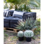 FEROCACTUS ΦΥΤΟ ΤΕΧΝΗΤΟ ΣΕ ΓΛΑΣΤΡΑ 25x25x33 ΥΦΑΣΜΑ ΠΡΑΣΙΝΟ ΛΕΥΚΟ ΠΛΑΣΤΙΚΟ
