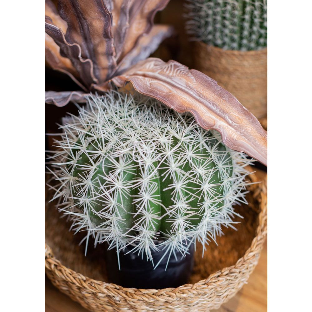 FEROCACTUS ΦΥΤΟ ΤΕΧΝΗΤΟ ΣΕ ΓΛΑΣΤΡΑ 25x25x33 ΥΦΑΣΜΑ ΠΡΑΣΙΝΟ ΛΕΥΚΟ ΠΛΑΣΤΙΚΟ