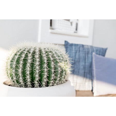 FEROCACTUS ΦΥΤΟ ΤΕΧΝΗΤΟ ΣΕ ΓΛΑΣΤΡΑ 25x25x33 ΥΦΑΣΜΑ ΠΡΑΣΙΝΟ ΛΕΥΚΟ ΠΛΑΣΤΙΚΟ - Τεχνητοι Κακτοι Sticky 5