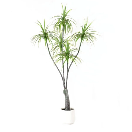 HEMLOCK ΔΕΝΤΡΟ ΤΕΧΝΗΤΟ ΣΕ ΓΛΑΣΤΡΑ 200 PE ΠΡΑΣΙΝΟ