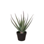 ALOE ΦΥΤΟ ΤΕΧΝΗΤΟ ΣΕ ΓΛΑΣΤΡΑ 52 PVC ΠΡΑΣΙΝΟ ΜΑΥΡΟ ΤΣΙΜΕΝΤΟ