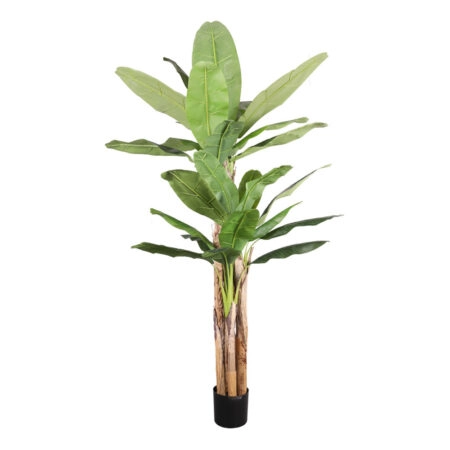 BANANA ΔΕΝΤΡΟ ΤΕΧΝΗΤΟ ΣΕ ΓΛΑΣΤΡΑ 240 PVC ΠΡΑΣΙΝΟ ΜΑΥΡΟ ΤΣΙΜΕΝΤΟ - 