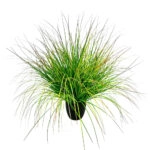 BENT GRASS ΦΥΤΟ ΤΕΧΝΗΤΟ ΣΕ ΓΛΑΣΤΡΑ 90 PVC ΠΡΑΣΙΝΟ