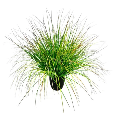 BENT GRASS ΦΥΤΟ ΤΕΧΝΗΤΟ ΣΕ ΓΛΑΣΤΡΑ 90 PVC ΠΡΑΣΙΝΟ