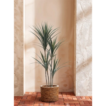 YUCCA ΔΕΝΤΡΟ ΤΕΧΝΗΤΟ ΣΕ ΓΛΑΣΤΡΑ 130 PE ΠΡΑΣΙΝΟ -  Sticky 1