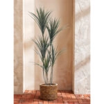 YUCCA ΔΕΝΤΡΟ ΤΕΧΝΗΤΟ ΣΕ ΓΛΑΣΤΡΑ 150 PE ΠΡΑΣΙΝΟ